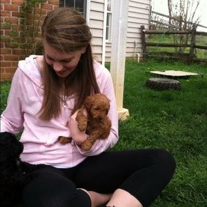 Meet your Posher, Kelsey